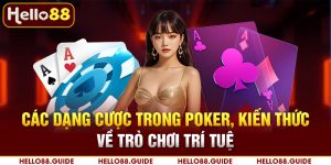 các dạng cược trong poker